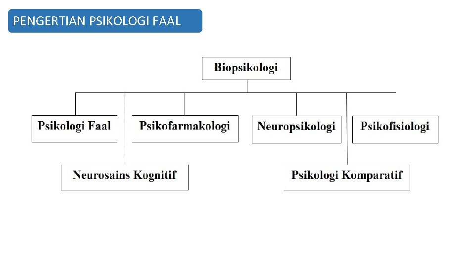 PENGERTIAN PSIKOLOGI FAAL 