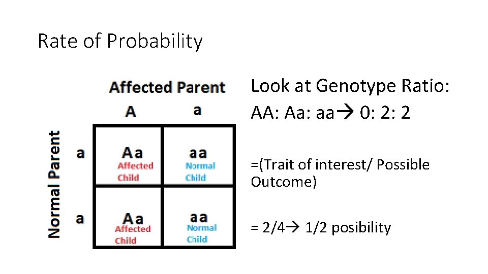 Rate of Probability Look at Genotype Ratio: AA: Aa: aa 0: 2: 2 =(Trait