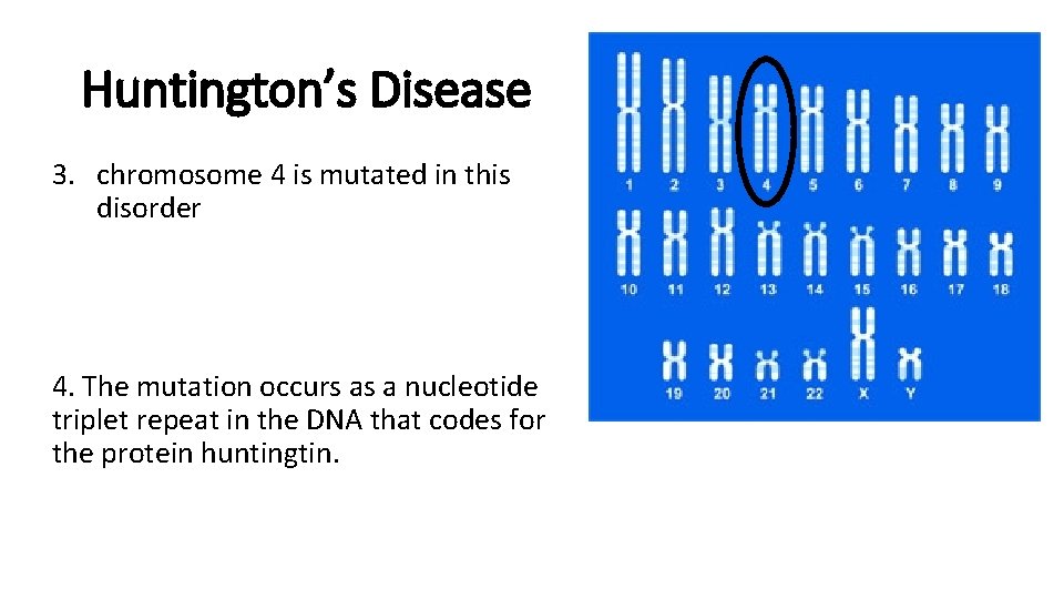 Huntington’s Disease 3. chromosome 4 is mutated in this disorder 4. The mutation occurs