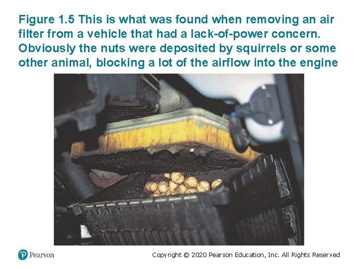 Figure 1. 5 This is what was found when removing an air filter from