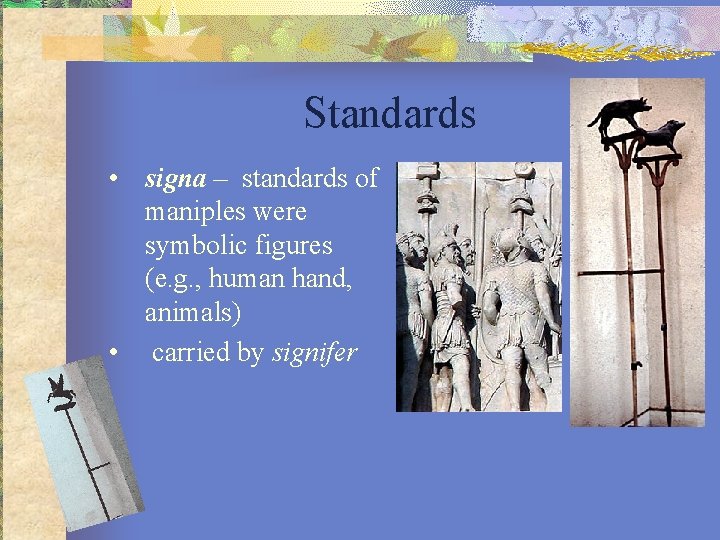 Standards • signa – standards of maniples were symbolic figures (e. g. , human