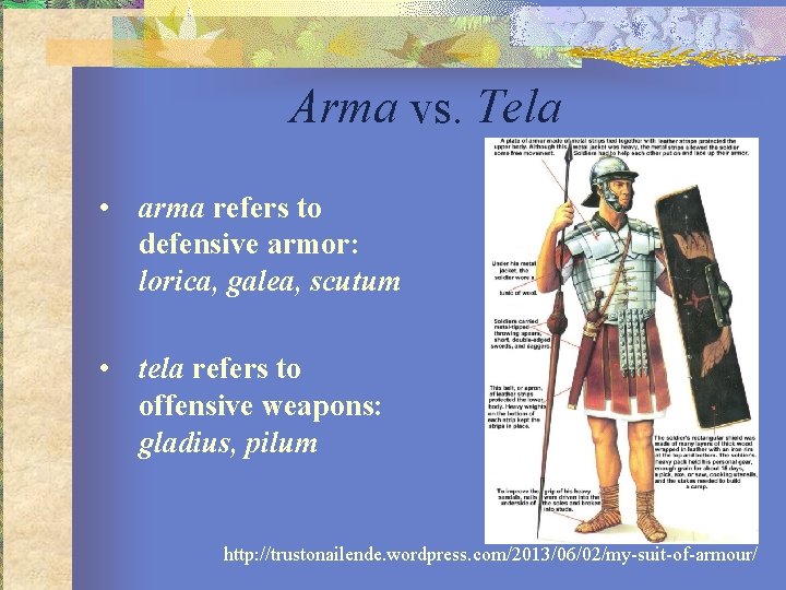 Arma vs. Tela • arma refers to defensive armor: lorica, galea, scutum • tela
