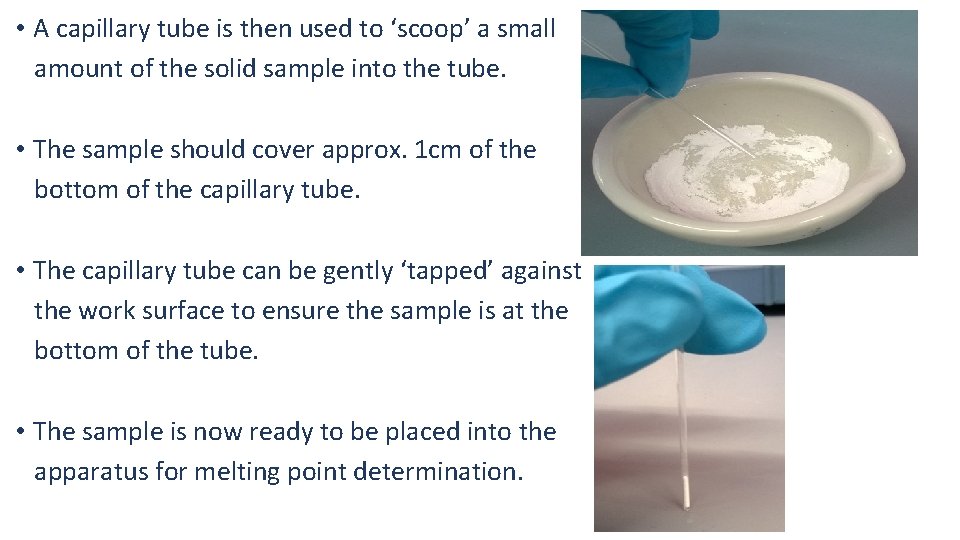  • A capillary tube is then used to ‘scoop’ a small amount of