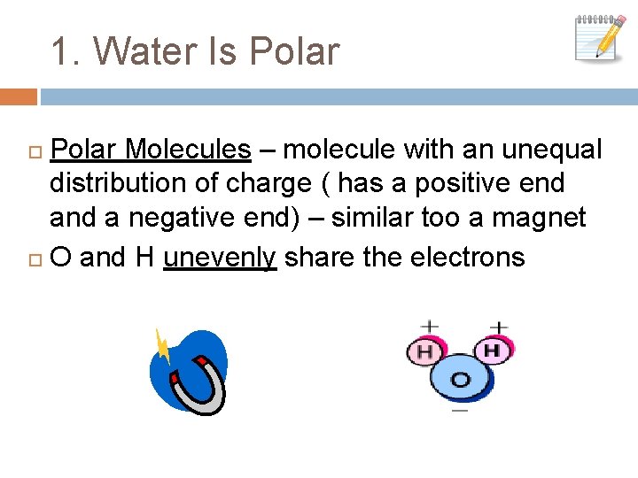 1. Water Is Polar Molecules – molecule with an unequal distribution of charge (