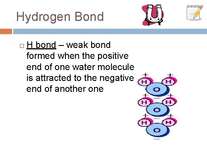 Hydrogen Bond H bond – weak bond formed when the positive end of one