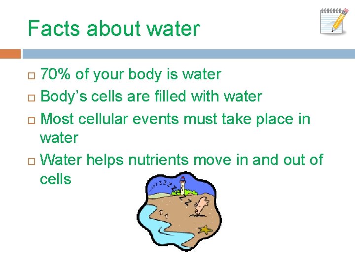 Facts about water 70% of your body is water Body’s cells are filled with
