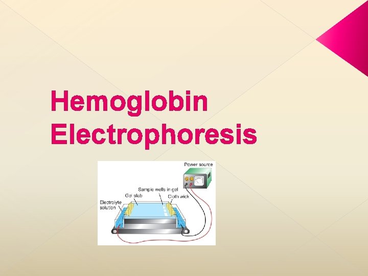 Hemoglobin Electrophoresis 