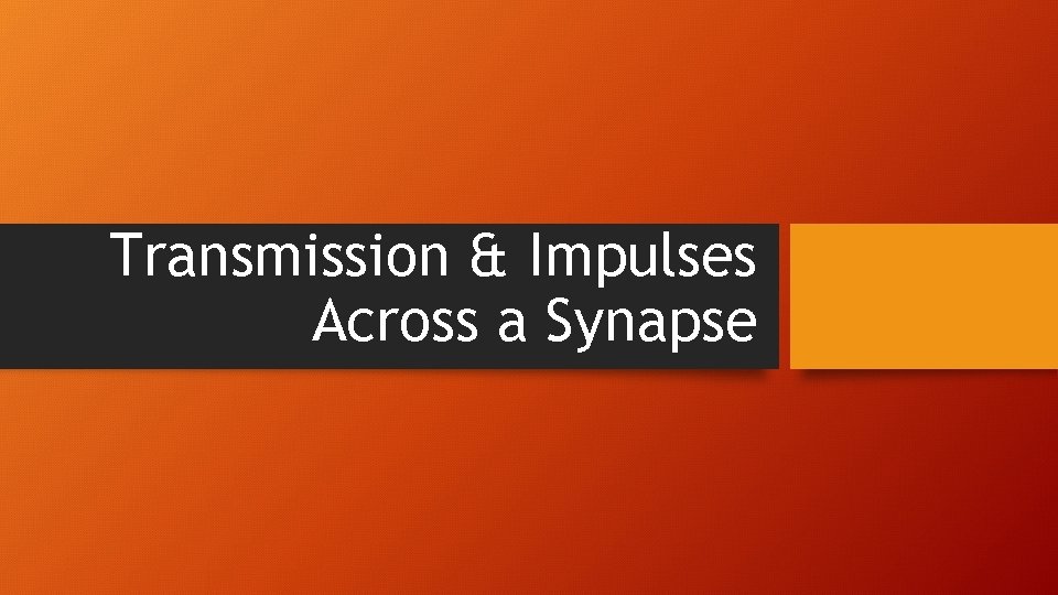 Transmission & Impulses Across a Synapse 