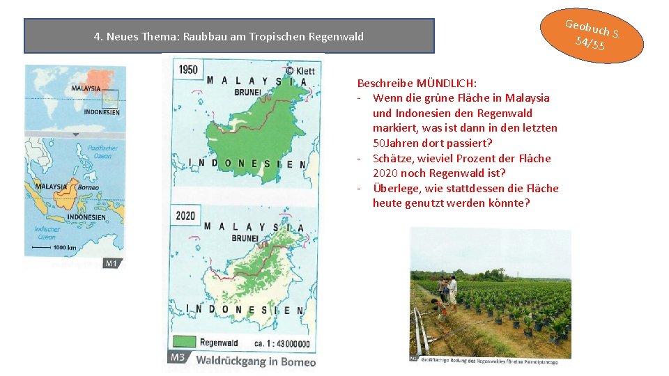 4. Neues Thema: Raubbau am Tropischen Regenwald Beschreibe MÜNDLICH: - Wenn die grüne Fläche