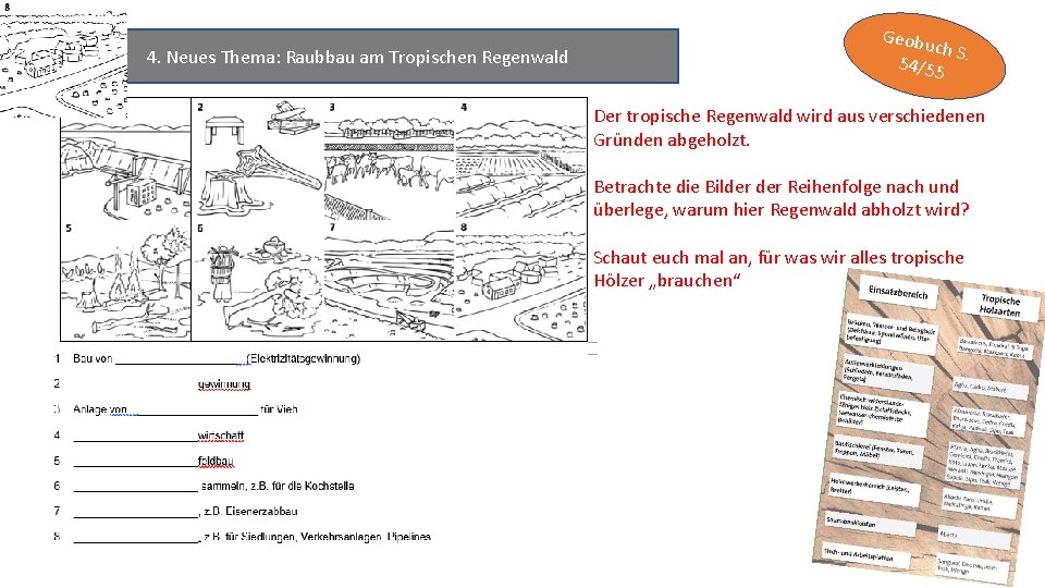 4. Neues Thema: Raubbau am Tropischen Regenwald Geobu ch S 54/55. Der tropische Regenwald