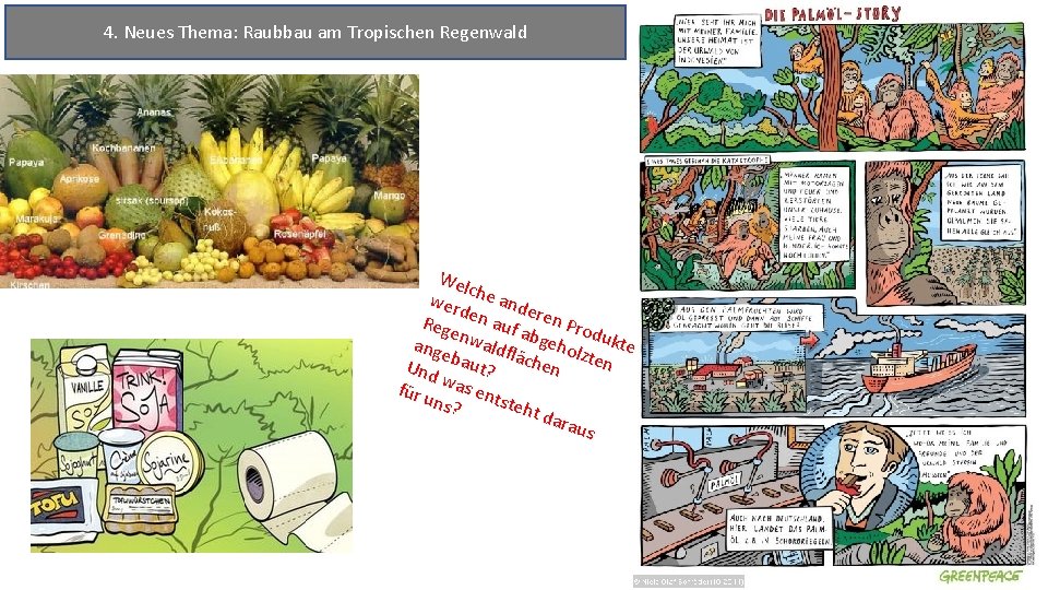 4. Neues Thema: Raubbau am Tropischen Regenwald Wel c wer he and e d