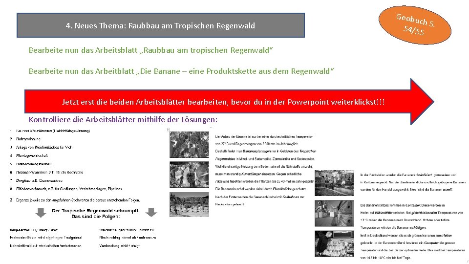 4. Neues Thema: Raubbau am Tropischen Regenwald Bearbeite nun das Arbeitsblatt „Raubbau am tropischen