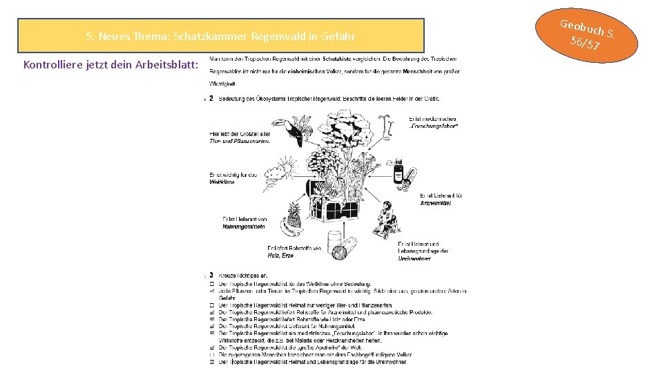 5. Neues Thema: Schatzkammer Regenwald in Gefahr Kontrolliere jetzt dein Arbeitsblatt: Geobu ch S