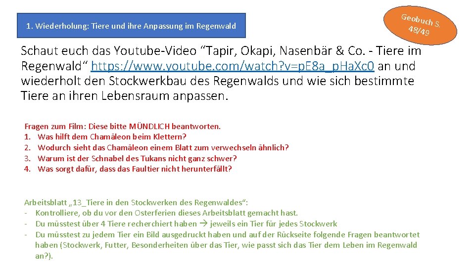 1. Wiederholung: Tiere und ihre Anpassung im Regenwald Geobu ch S 48/49. Schaut euch