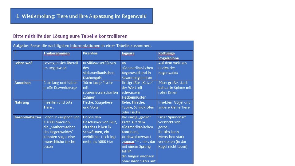 1. Wiederholung: Tiere und ihre Anpassung im Regenwald Bitte mithilfe der Lösung eure Tabelle