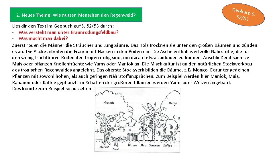 2. Neues Thema: Wie nutzen Menschen den Regenwald? Geobu ch S 52/53. Lies dir