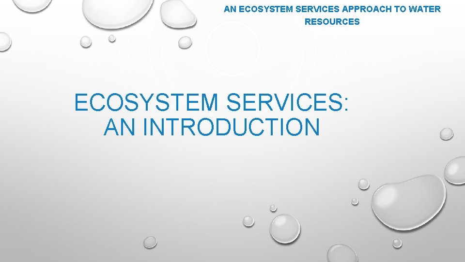 AN ECOSYSTEM SERVICES APPROACH TO WATER RESOURCES ECOSYSTEM SERVICES: AN INTRODUCTION 