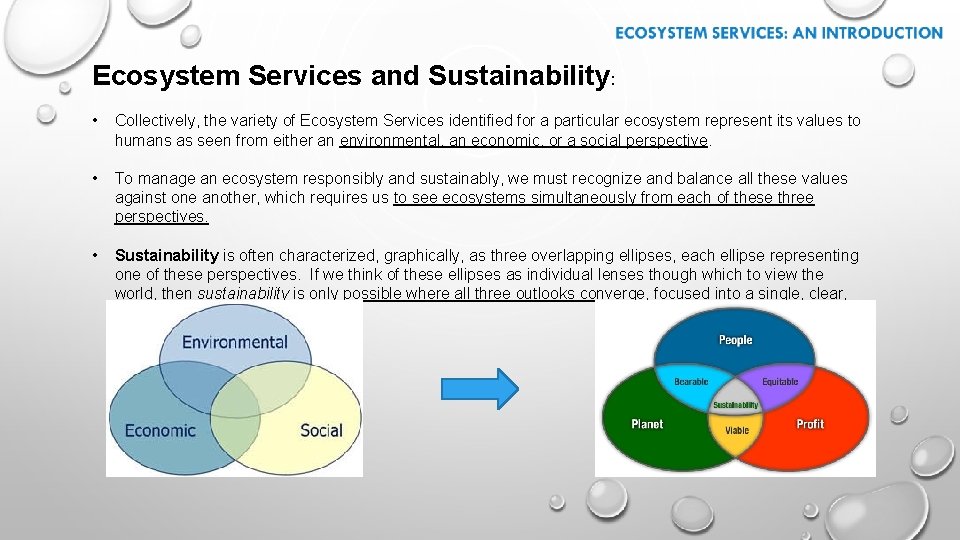 Ecosystem Services and Sustainability: • Collectively, the variety of Ecosystem Services identified for a