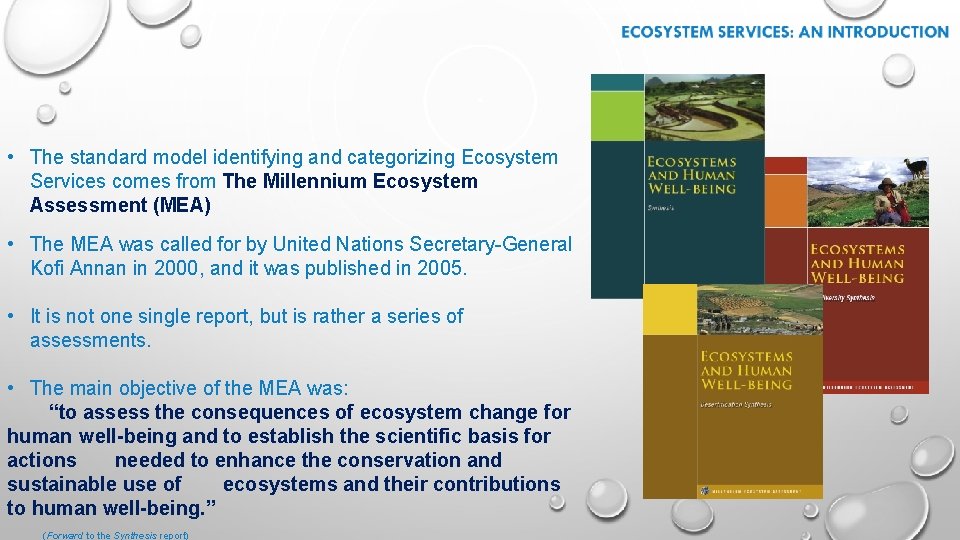  • The standard model identifying and categorizing Ecosystem Services comes from The Millennium