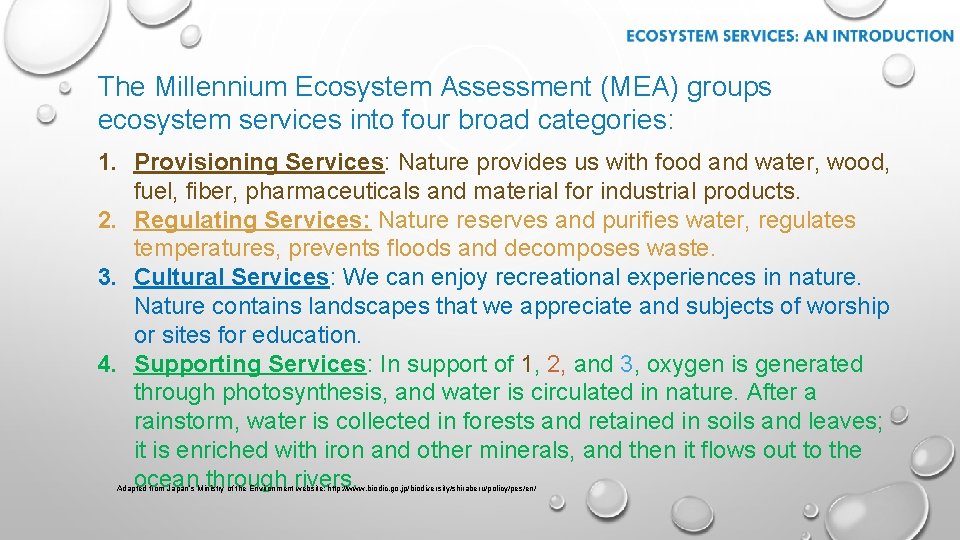 The Millennium Ecosystem Assessment (MEA) groups ecosystem services into four broad categories: 1. Provisioning