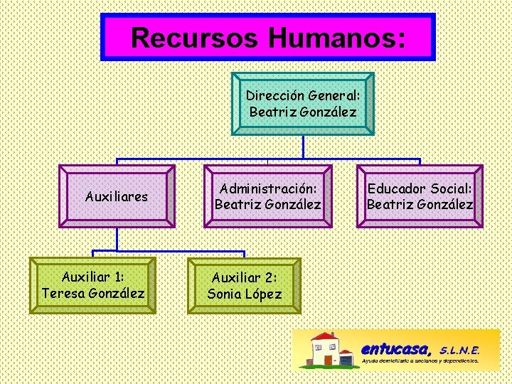 Recursos Humanos: Dirección General: Beatriz González Auxiliares Auxiliar 1: Teresa González Administración: Beatriz González