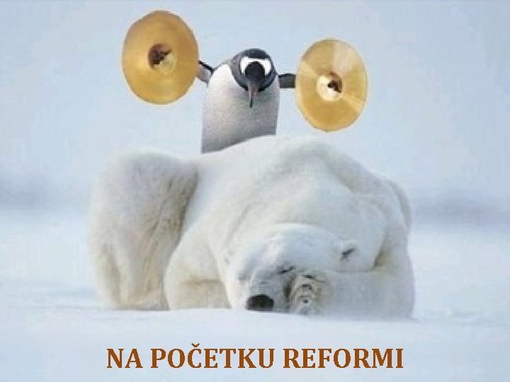 EVOLUTION OF PIC SYSTEM STARTING POINT (Policy Paper): • Internal auditors more like financial