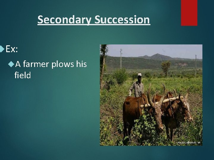 Secondary Succession Ex: A farmer plows his field 
