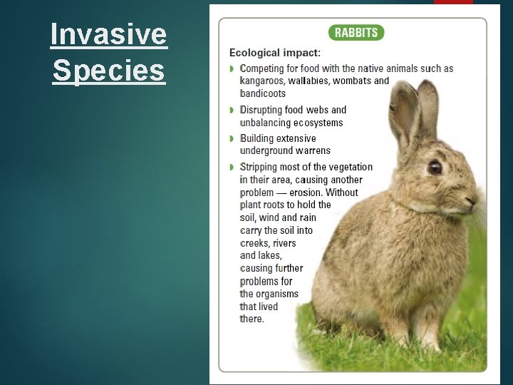 Invasive Species 