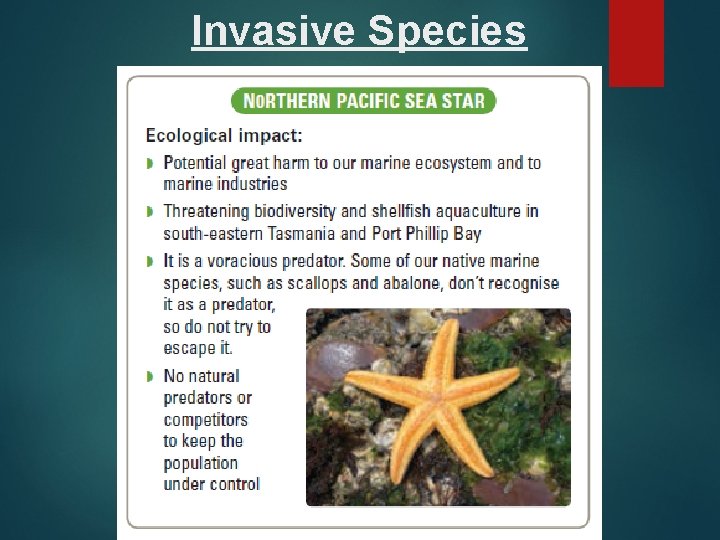 Invasive Species 