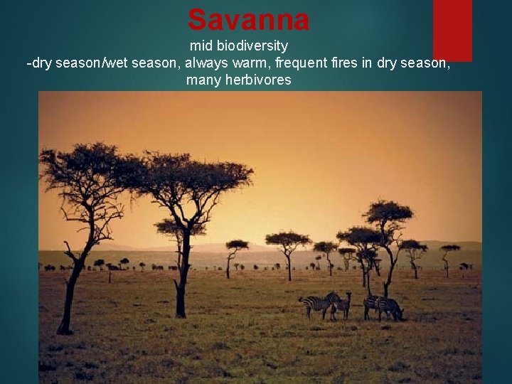 Savanna mid biodiversity -dry season/wet season, always warm, frequent fires in dry season, many