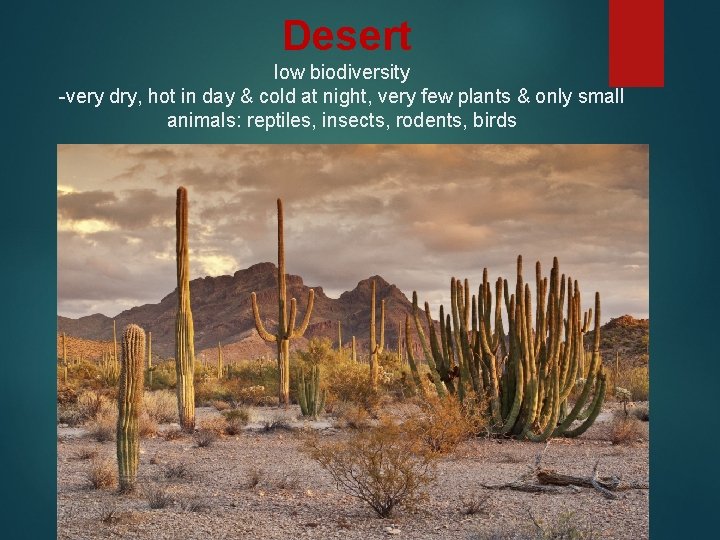 Desert low biodiversity -very dry, hot in day & cold at night, very few