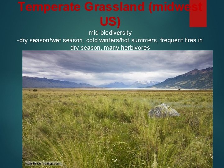 Temperate Grassland (midwest US) mid biodiversity -dry season/wet season, cold winters/hot summers, frequent fires