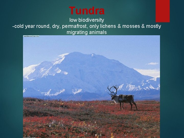 Tundra low biodiversity -cold year round, dry, permafrost, only lichens & mosses & mostly