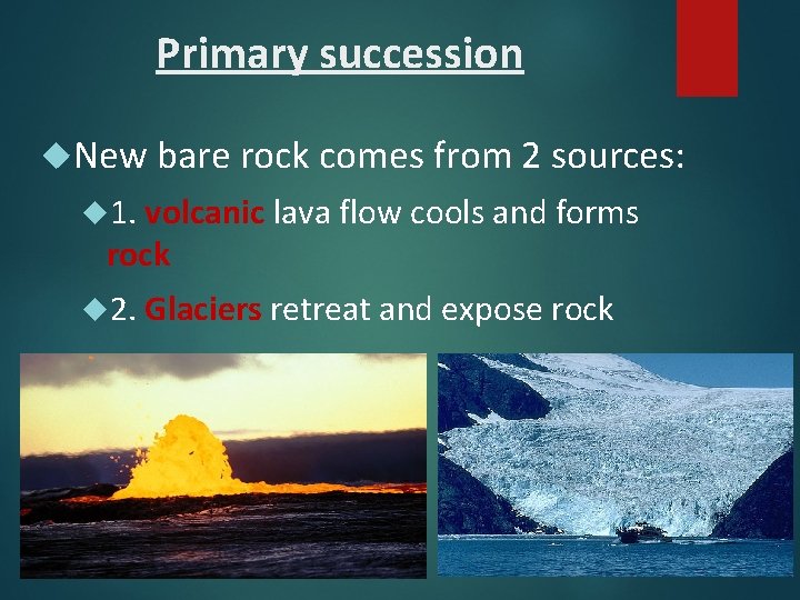 Primary succession New bare rock comes from 2 sources: 1. volcanic lava flow cools