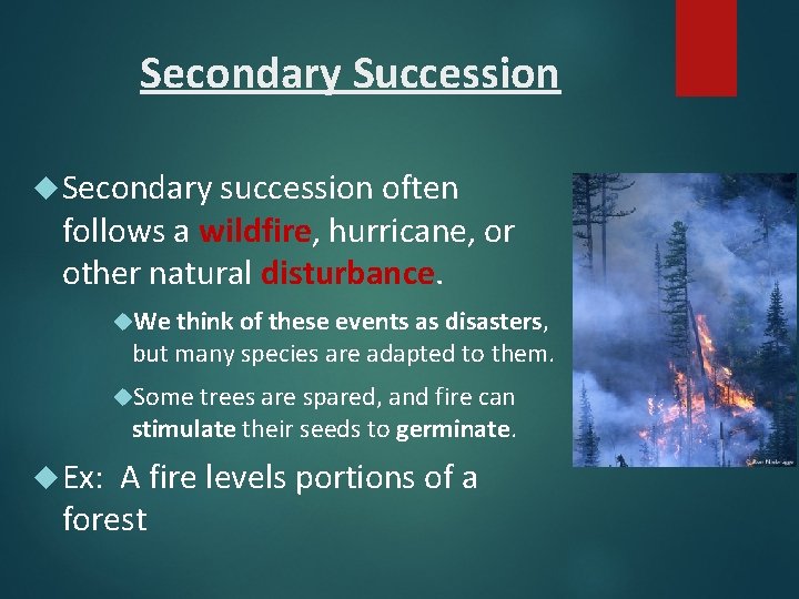 Secondary Succession Secondary succession often follows a wildfire, hurricane, or other natural disturbance. We