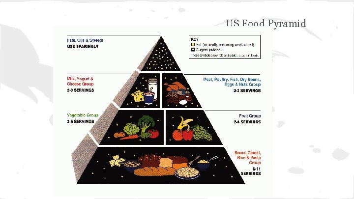 US Food Pyramid 