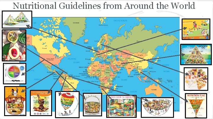 Nutritional Guidelines from Around the World 