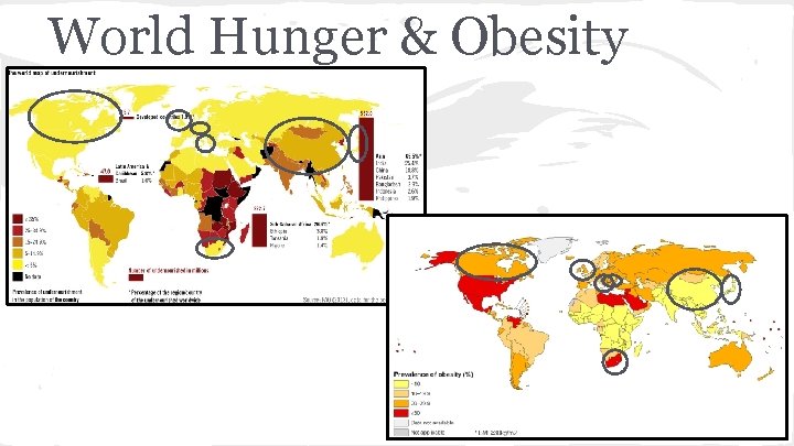 World Hunger & Obesity 