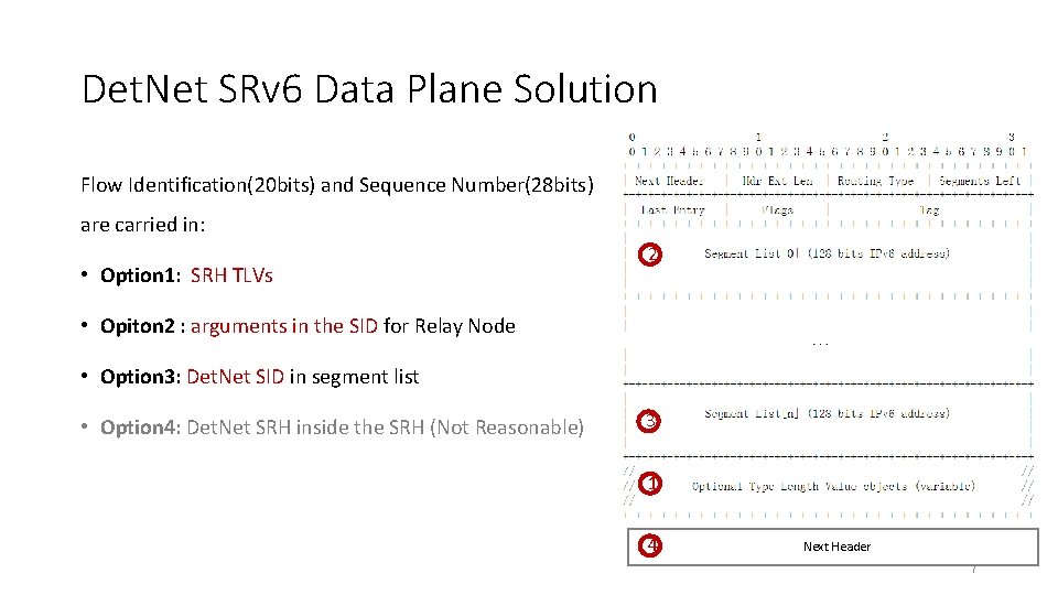 Det. Net SRv 6 Data Plane Solution Flow Identification(20 bits) and Sequence Number(28 bits)