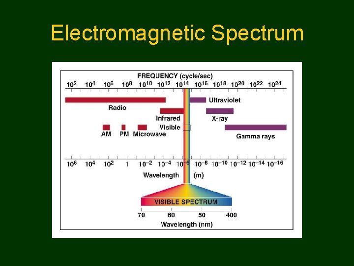 Electromagnetic Spectrum 