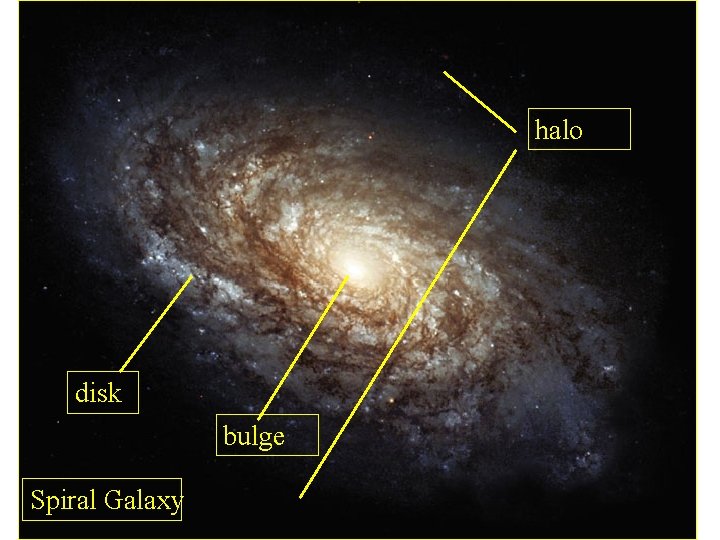 halo disk bulge Spiral Galaxy 