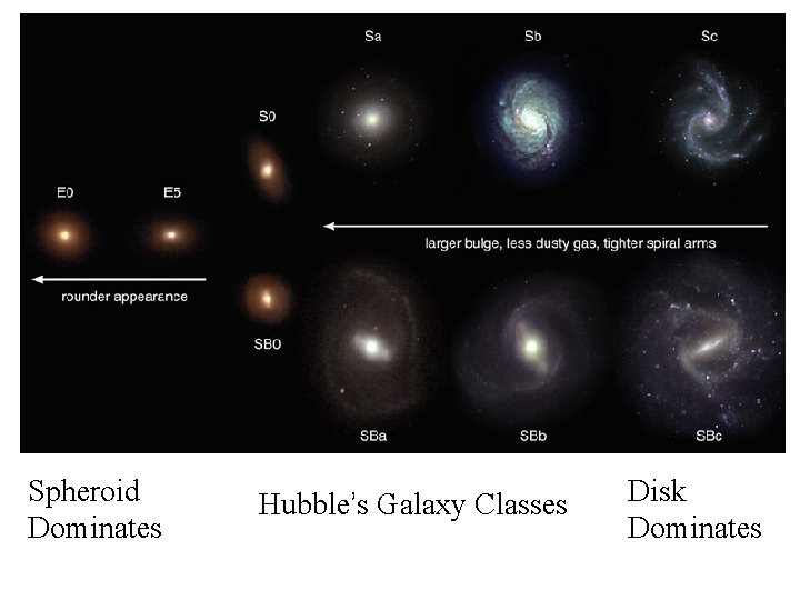 Spheroid Dominates Hubble’s Galaxy Classes Disk Dominates 