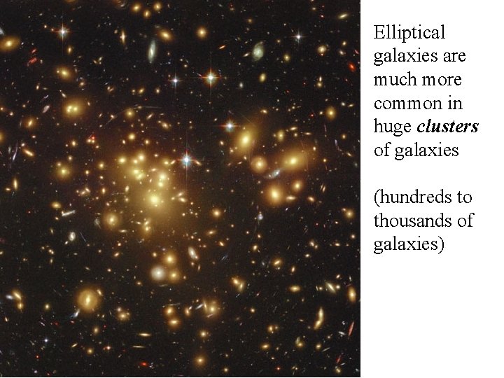 Elliptical galaxies are much more common in huge clusters of galaxies (hundreds to thousands