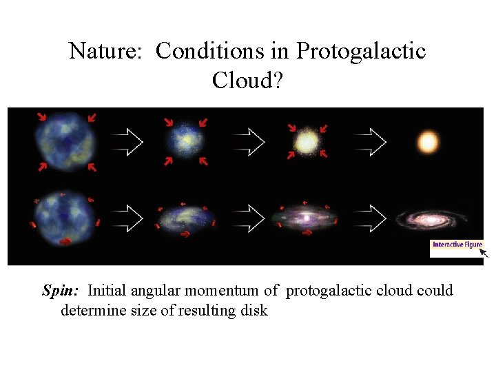 Nature: Conditions in Protogalactic Cloud? Spin: Initial angular momentum of protogalactic cloud could determine