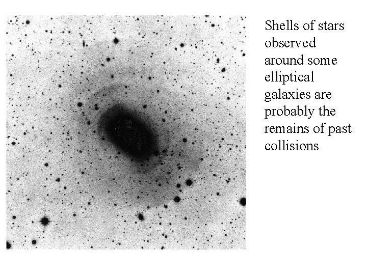 Shells of stars observed around some elliptical galaxies are probably the remains of past