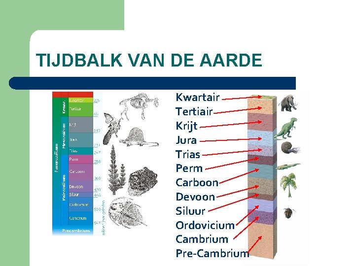 TIJDBALK VAN DE AARDE Kwartair Tertiair Krijt Jura Trias Perm Carboon Devoon Siluur Ordovicium