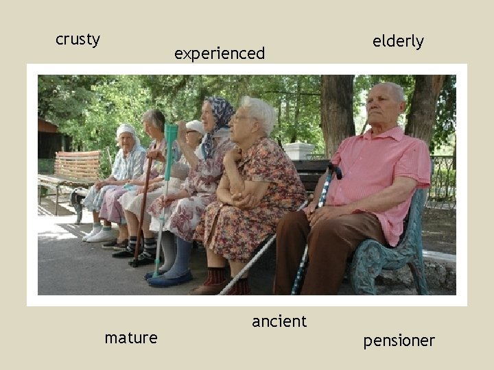 crusty experienced mature elderly ancient pensioner crusty experienced mature elderly ancient pensioner