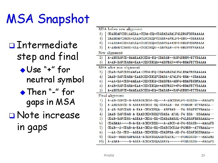 MSA Snapshot q Intermediate step and final u Use “+” for neutral symbol u