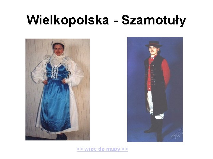 Wielkopolska - Szamotuły >> wróć do mapy >> 