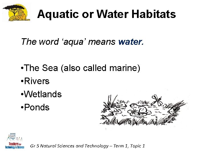 Aquatic or Water Habitats The word ‘aqua’ means water. • The Sea (also called Aquatic or Water Habitats The word ‘aqua’ means water. • The Sea (also called